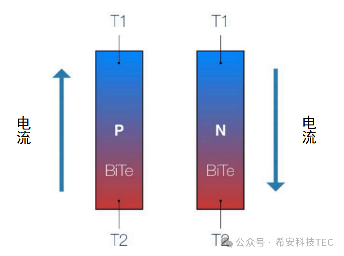 TEC는 어떻게 작동하나요?